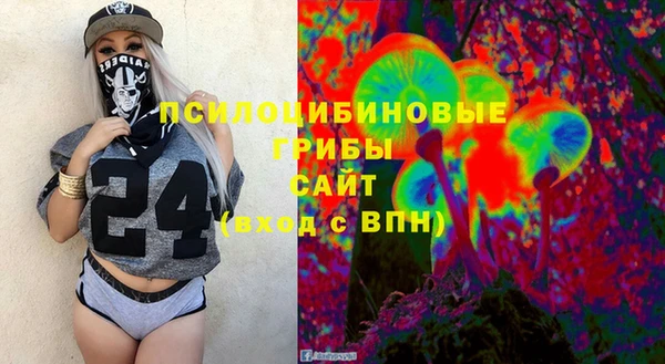 Альфа ПВП Ладушкин