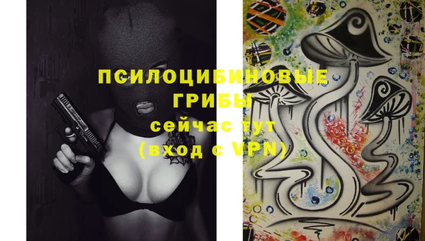 Альфа ПВП Ладушкин