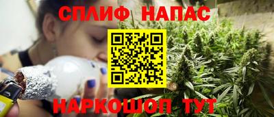ECSTASY Гай